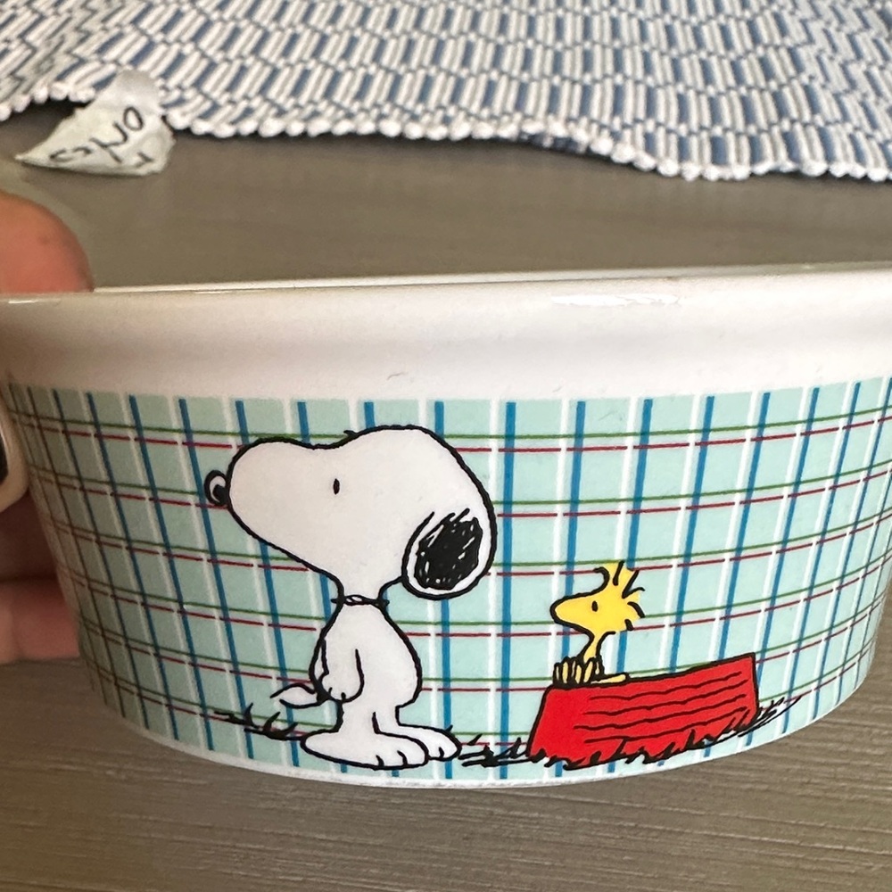 Snoopy and Woodstock Ceramic Bowl